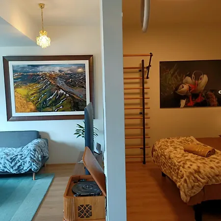 Puffin Nest, Superior Apartment Reykjavík Eksteriør billede
